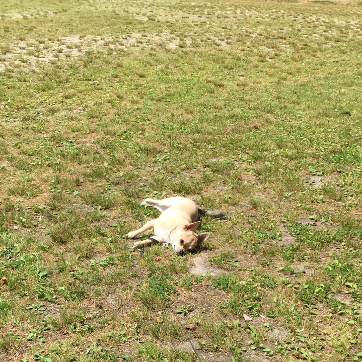 B3a411d0 b61b 4790 8cdd 6f30e428da5c