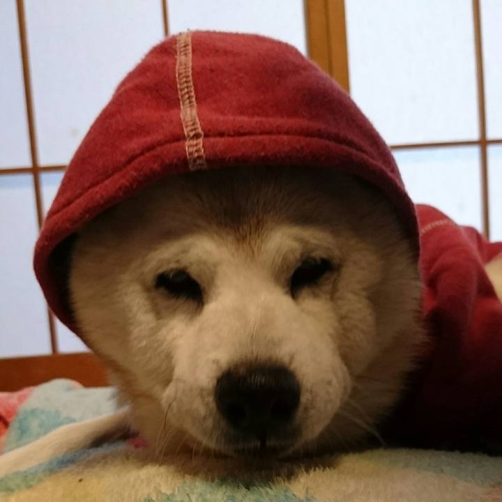 B3a458ec d700 4bff 9bda 9e94d18d7b46