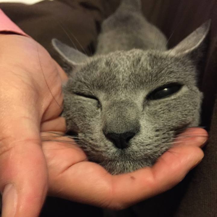 B3a602ca c71d 41a6 b70b a1c5832782b5