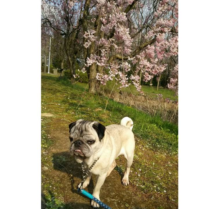 B3a69686 3af1 47c1 9945 a4b8ea54282a