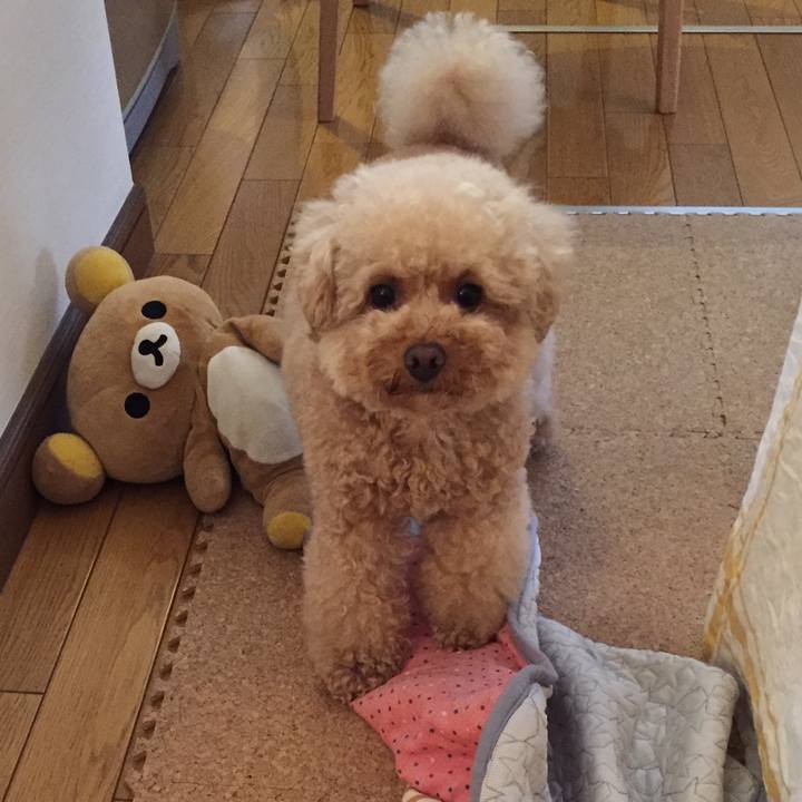 B3a6af9c 9cf7 4e18 9b89 b5876335906e