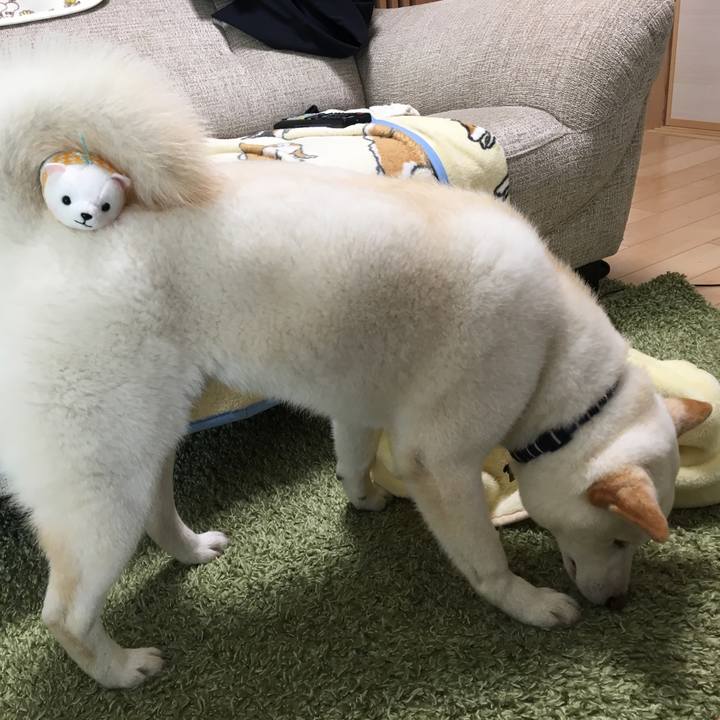 B3a6afaa f016 47ae ba75 cd2ed6417bf8