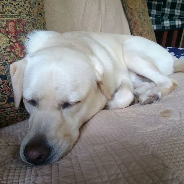 B3a6e4b7 47ea 4422 99e1 de9e9ad89226