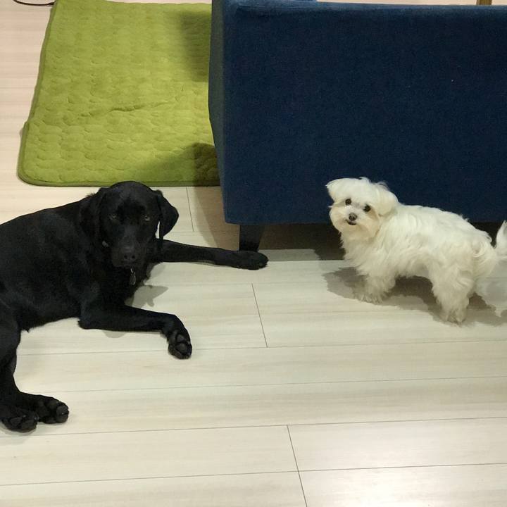 B3a77b9a b36b 4fdc 85af 836d2579896b