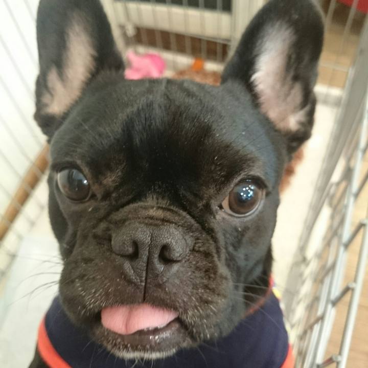 B3a81efc 8480 4f6d af5a 3047b4b484ae