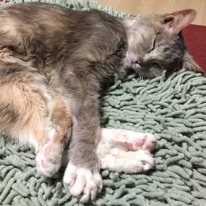 B3a86296 6049 433a 84b7 ba676bfaae7b