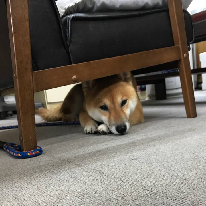 B3a8a618 af40 42de b914 e0e3d7d80e30