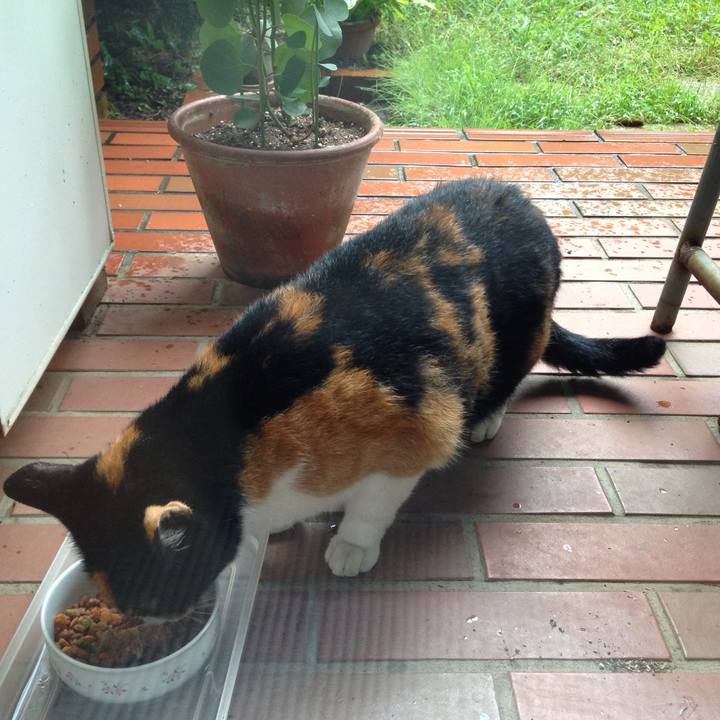 B3a8c911 cf39 40d4 8c17 fd6fb1a5ca2c