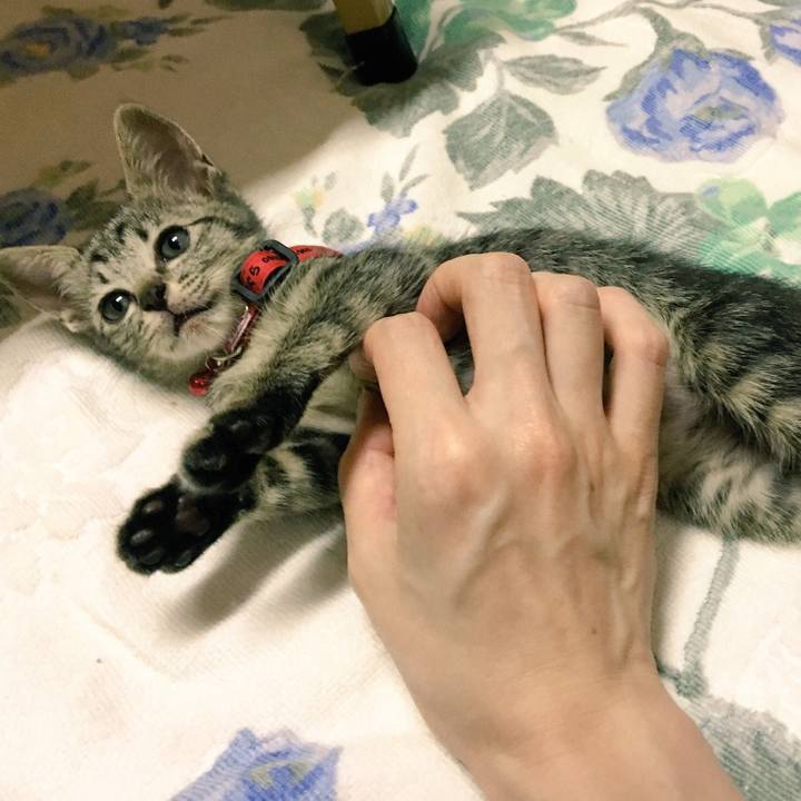 B3a93ee1 c3e4 4398 a102 348656f4951a