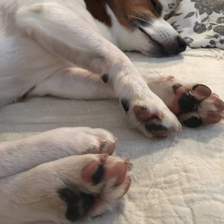 B3a94b78 c4fa 4c7a 975d b952933963c1