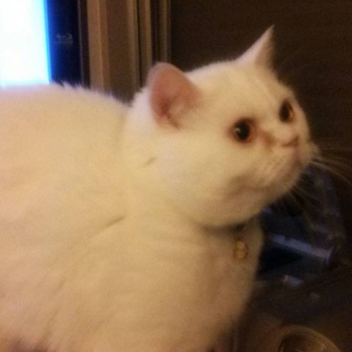 B3a9f7fe 24ab 450b 918b b9a82a6721ff