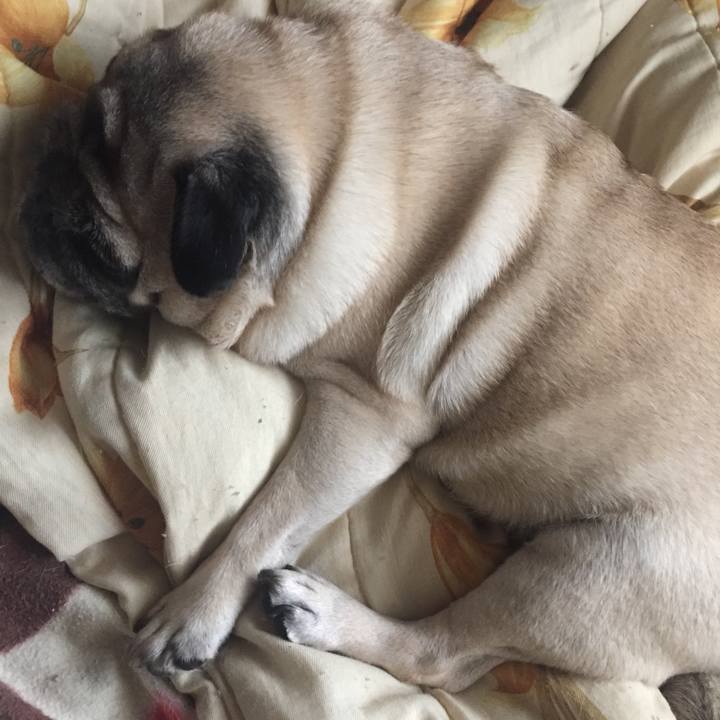 B3ab5b0f 78c1 4d04 8426 eb514c2ad6f6