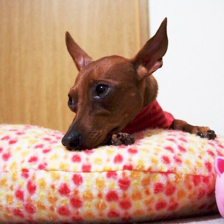 B3abbcb4 0fbb 41f8 a21d 846243b0796d