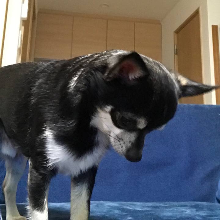 B3abd53d 9463 4bbb a7d8 bc327cfdbd73