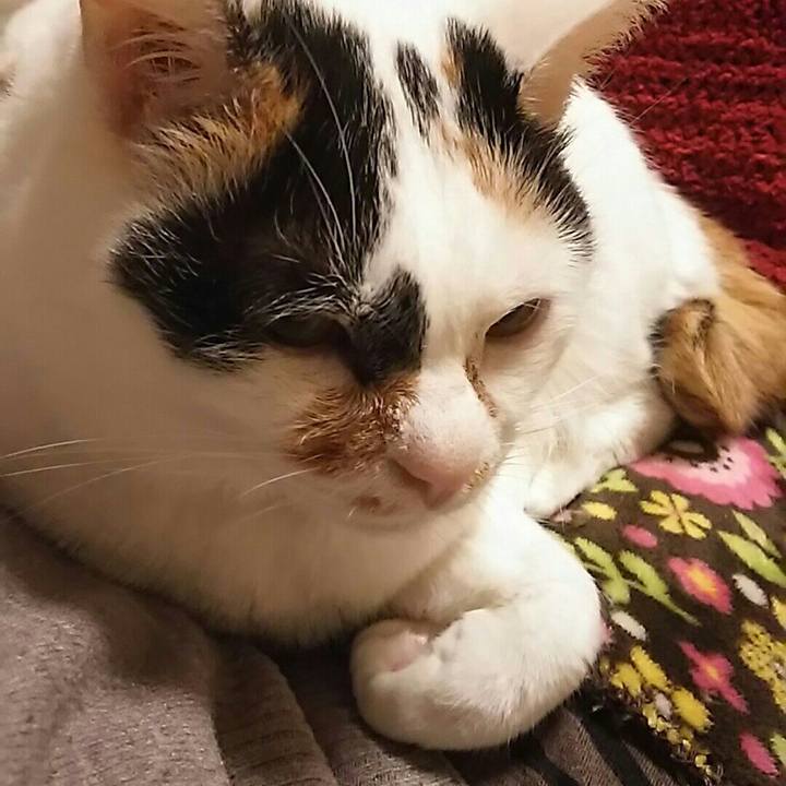 B3abedc3 2fc4 4f4f a1b2 6b9cc76871e8