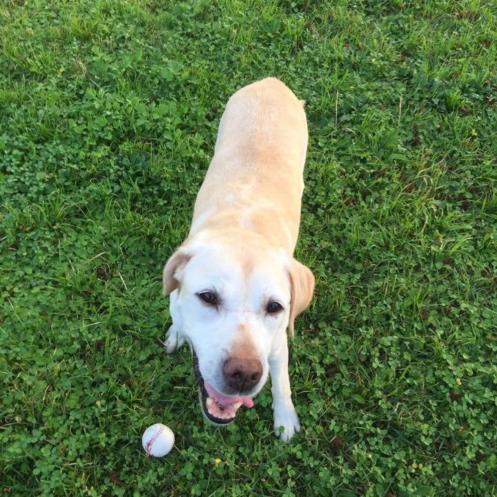 B3ac266b 7f13 4956 8001 7581c6041049