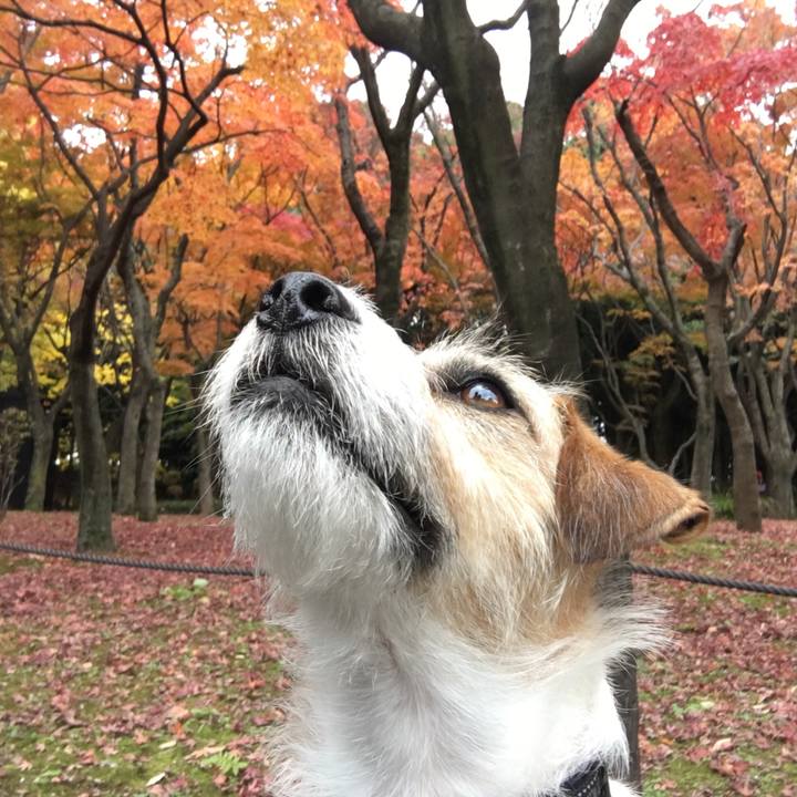 B3acf38a c004 4b4b b5be c90129d35e3a