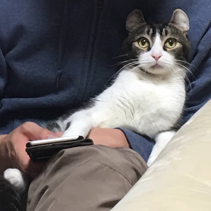 B3ad2d59 f86f 498c 8d5d 44b385d02965