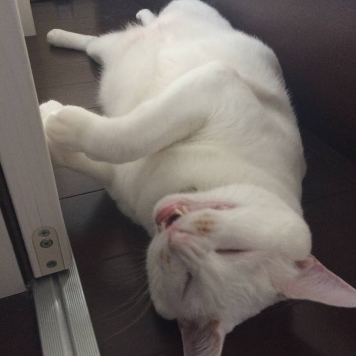 B3ad78b9 2ba7 4d7e 8944 4d5f712caf4e