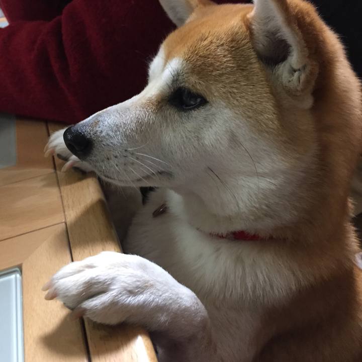 B3ad7d6a c7fb 4d7d a82e 81005a33bbec