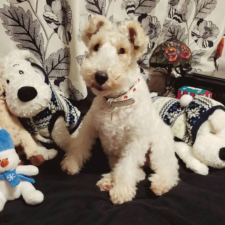 B3ad94b1 0fbb 4f29 9a1d 1bb8afa7e4d7