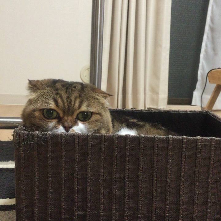 B3add8e0 9b28 44fb 9e3a 202b5d81befa