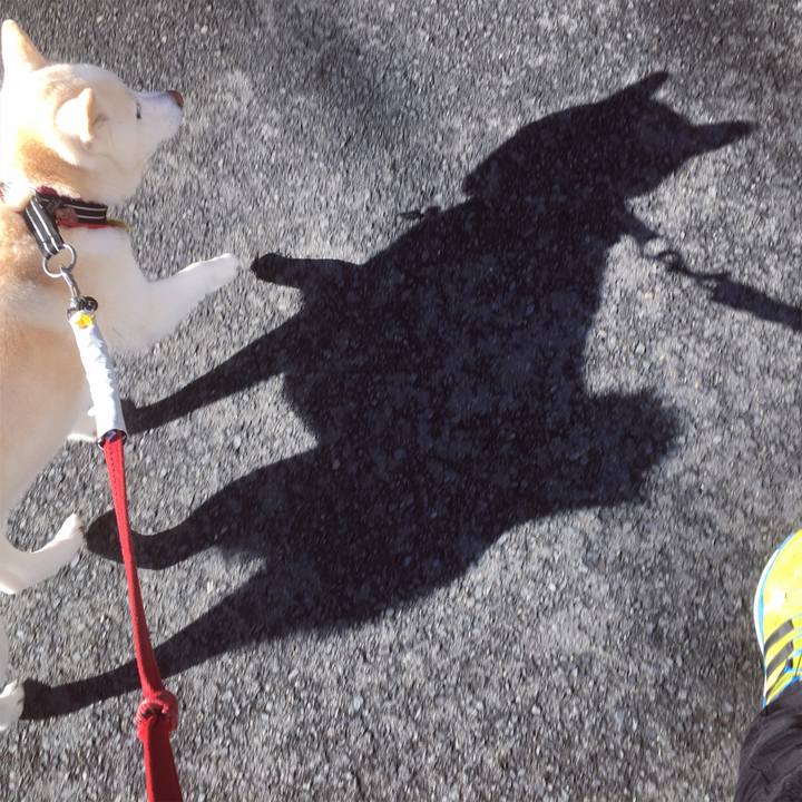 B3addcc5 b13e 4414 8553 8a4e4ce0fc27