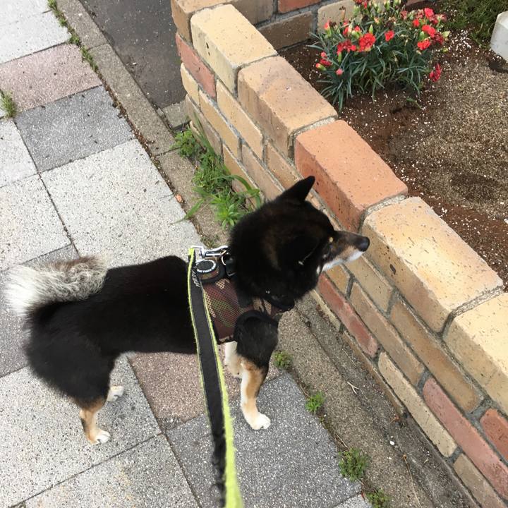 B3af1c30 f5ea 45fb 84f9 8a543a7723c3