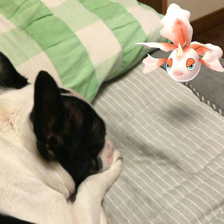 B3b0c30d b293 4725 9d6d a8be9215e2f5