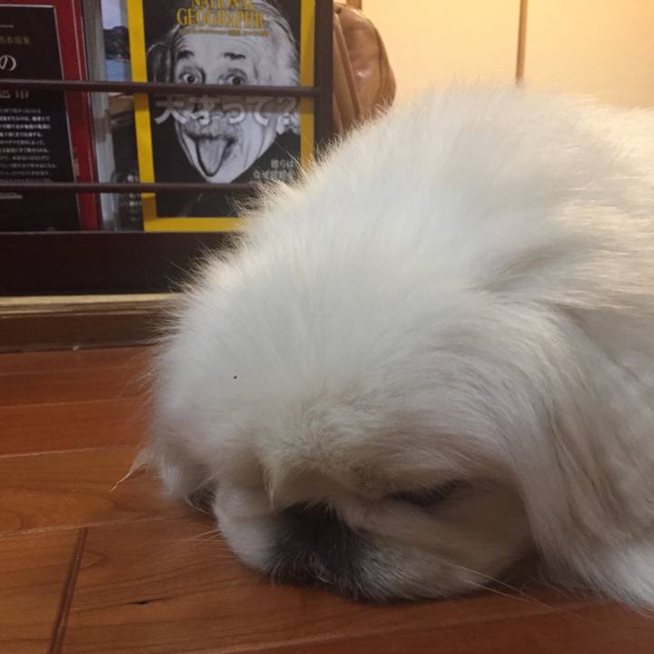 B3b0d1e2 c869 4256 ab91 c861f04d8f6d