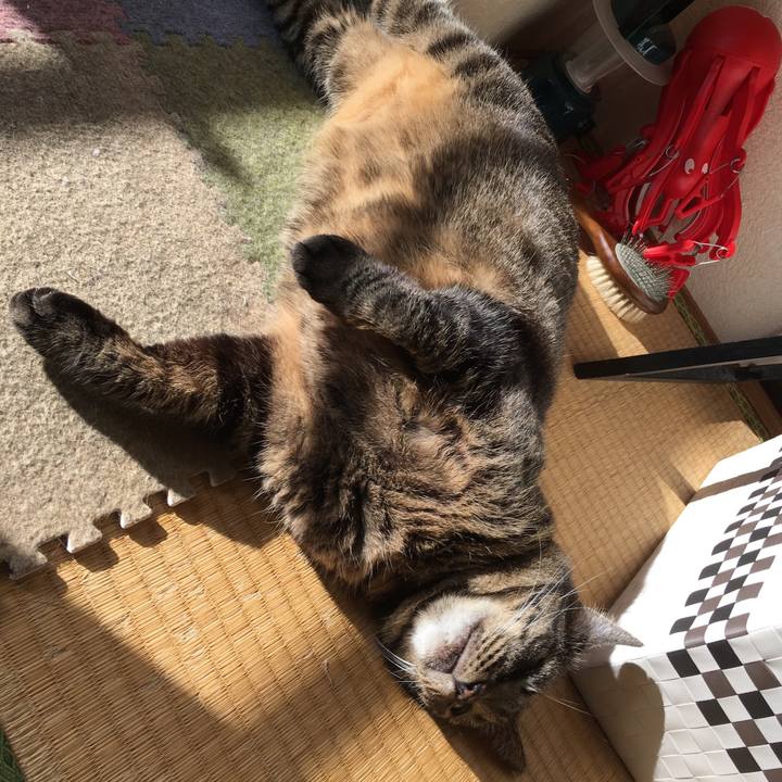 B3b1a0b9 344e 45be b797 063244b3842d