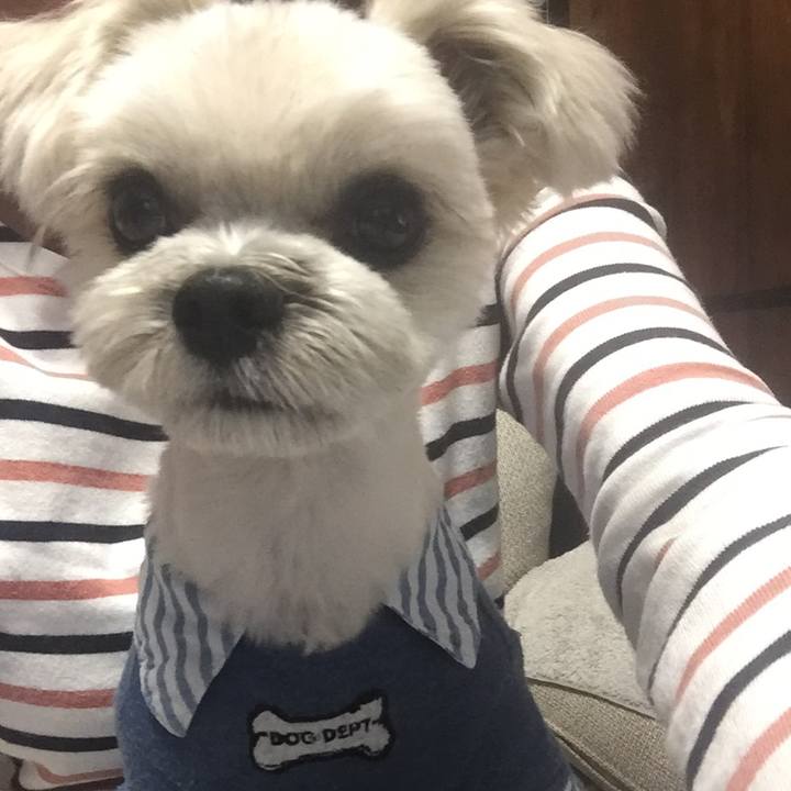 B3b20229 7d03 44b4 a318 8e3a6b94b9d8