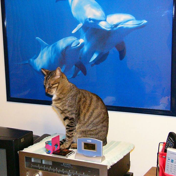 B3b297b7 8bad 4e67 8285 a4fe2bf8372b