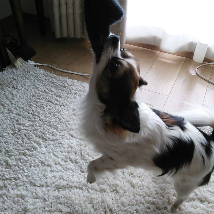 B3b2cc3d 6a38 4e6f 9c64 82c74c317055