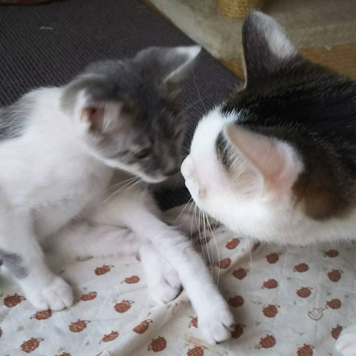 B3b311a3 e786 430c b532 ae05e280cf11