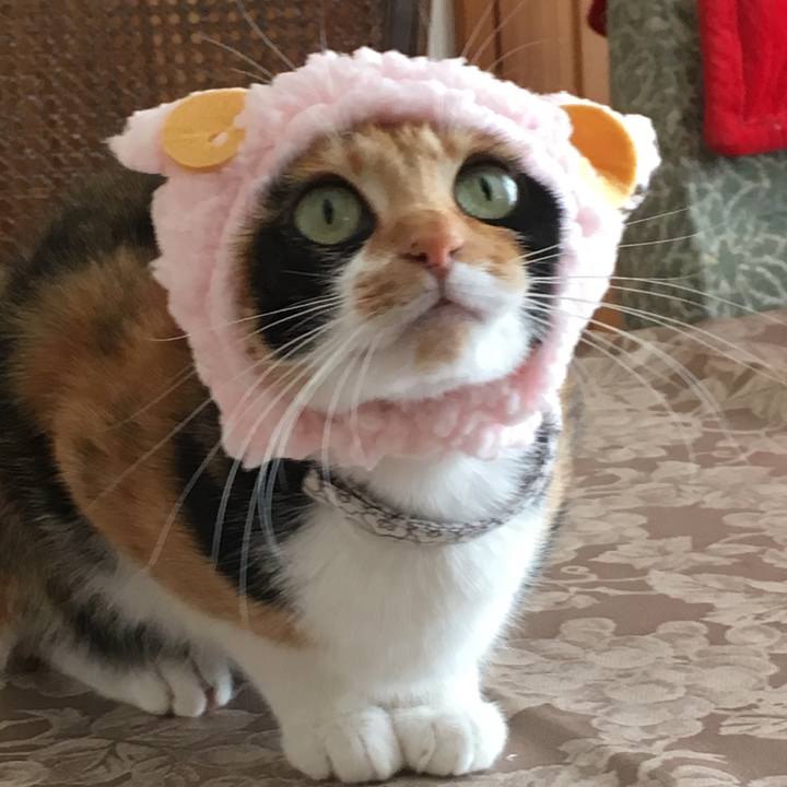 B3b34199 3be0 47fb ab10 c24fa076518c