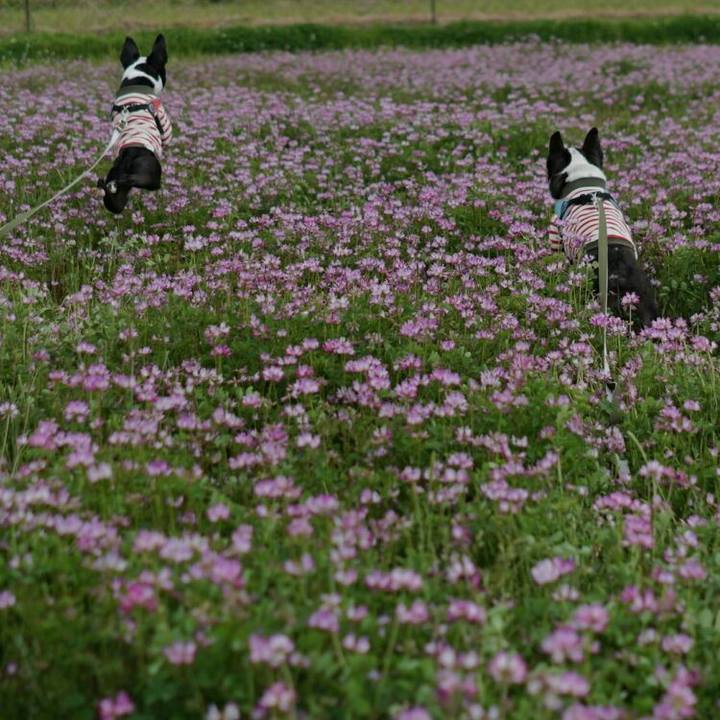 B3b3703d 0ec7 48de aa93 d697761ca5e7