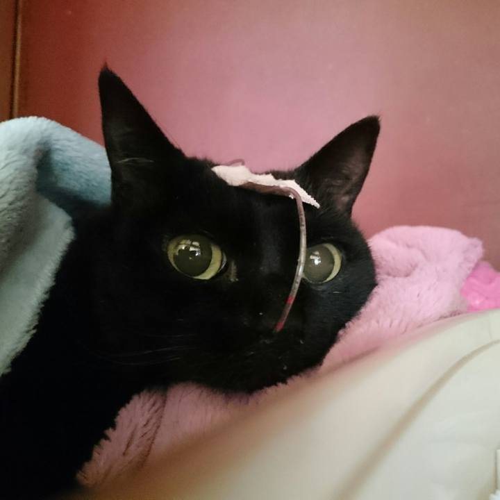 B3b374ec 2b98 4930 8aa9 15f50b8101a6