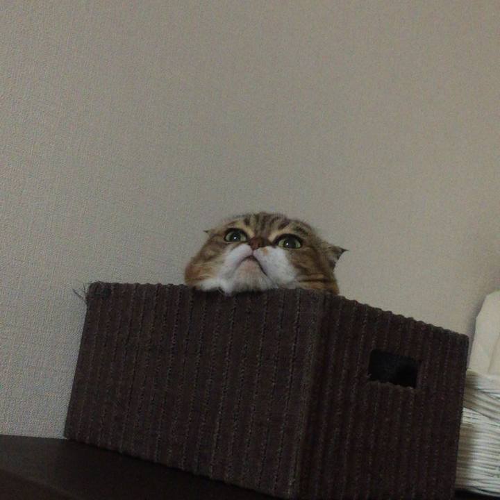 B3b37817 0d9b 43f5 90b2 413873f3faed