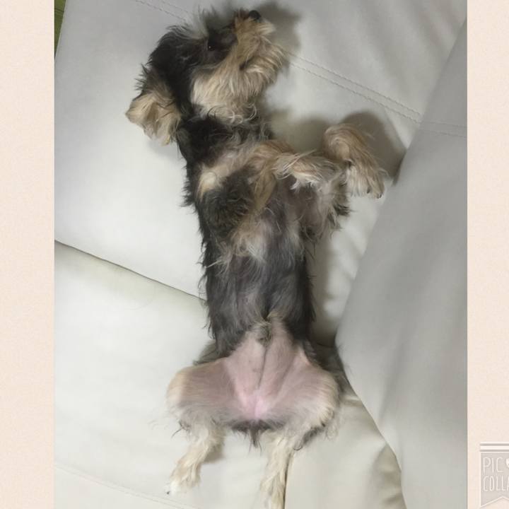 B3b4aac1 b716 48ec 8b10 64e7b7a0bc85