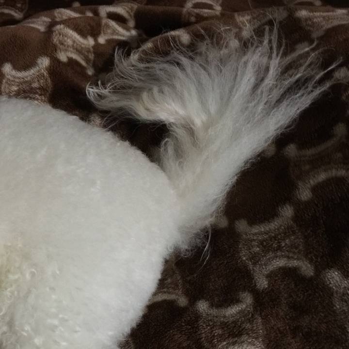 B3b50926 5318 4946 a48d 44e13e6a92e7