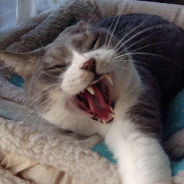 B3b5f936 d754 4268 b39a c425fe3c142f