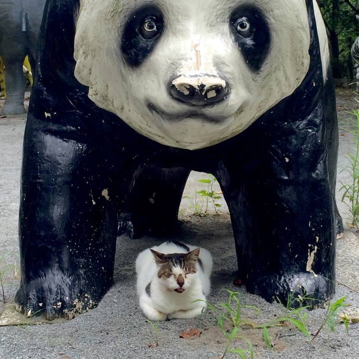 B3b69c14 7d65 428e b8e1 54625d28a9c3