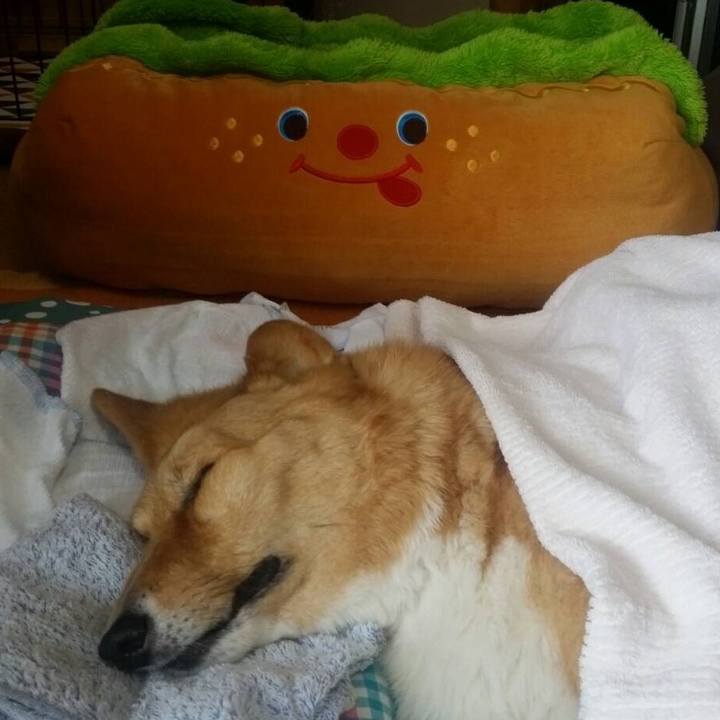 B3b6a870 62d2 4345 b00d 22c746c290bb