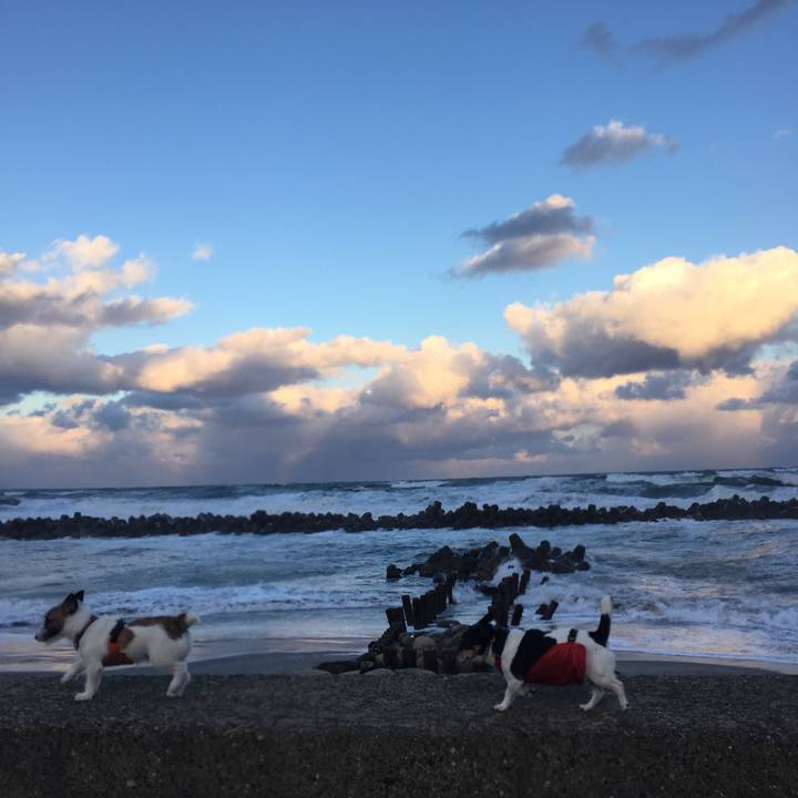 B3b6e1ec 342f 4c21 8b41 197361dcb743