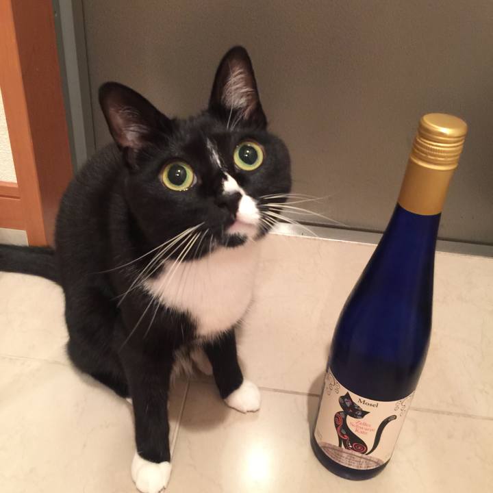 B3b75968 32c0 4d43 9f27 47eeac027388