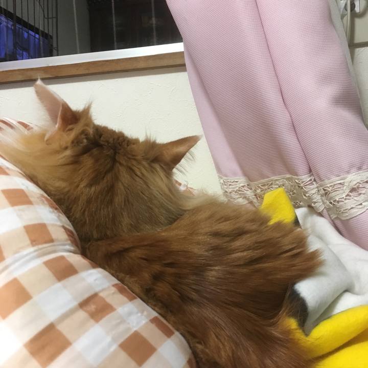 B3b7b378 3dcc 4f86 b957 b8e9b824f925