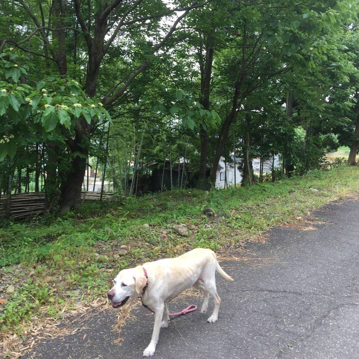 B3b8c062 9388 426f a818 9a7d146982e9