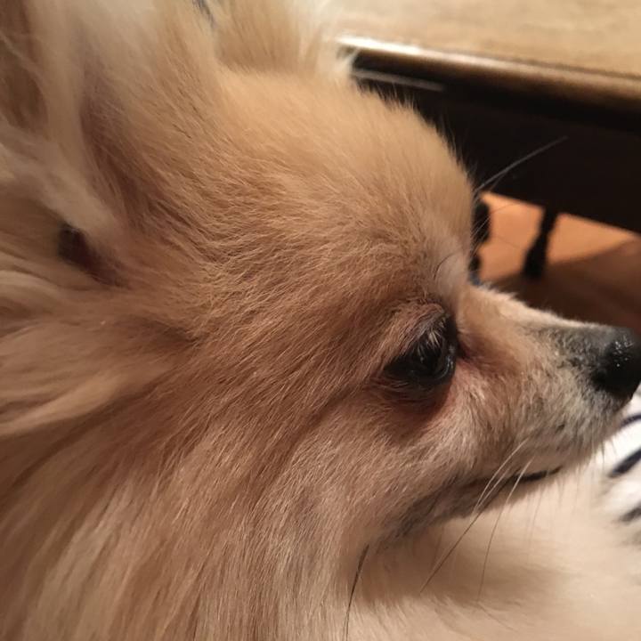 B3b8e9c9 c56f 4f65 a1ad d890dfb36309