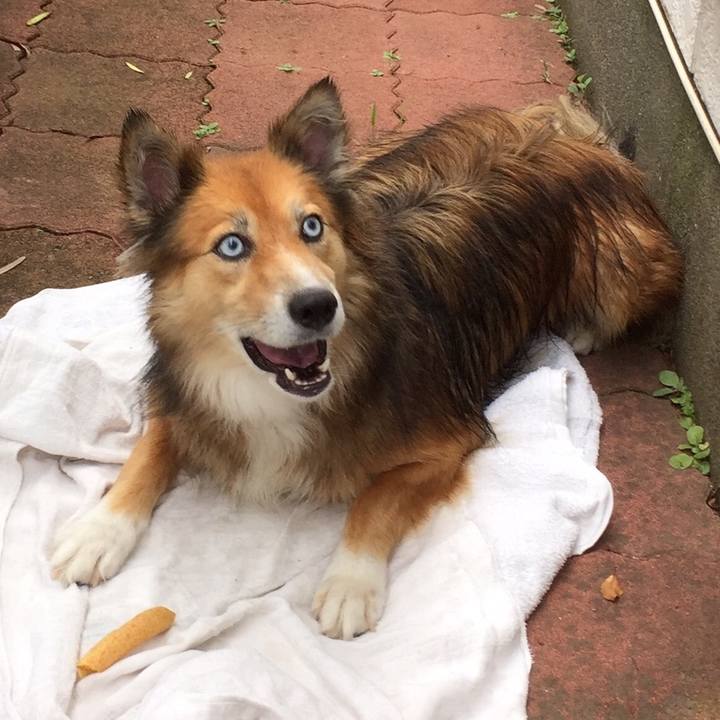 B3b8ee79 e2a0 4682 8d42 9e7ce707d8b3